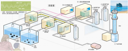 PM2.5自动测定仪的并行试验结果（10.11.01）(图1)